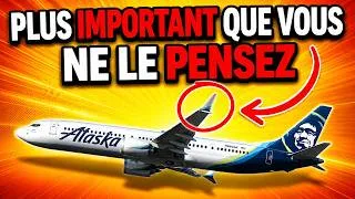 Miniature : Pourquoi tous les avions modernes ont des winglets ?