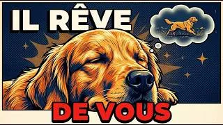 Miniature : À quoi rêve VRAIMENT votre chien ? (Les scientifiques ont enfin trouvé l'explication)