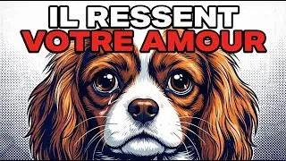 Miniature : Comment les chiens RESSENTENT votre amour (La science des émotions canines)