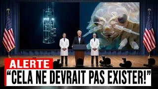 Miniature : Cette Créature des Abysses ne Devrait PAS Exister… Pourtant Elle a Été Filmée