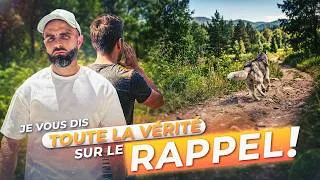 Miniature : Tout pour avoir un bon rappel avec votre chien !
