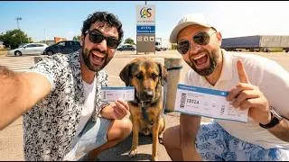 Miniature : J’ai troqué mon chien contre une Piña Colada !