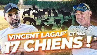 Miniature : La folle vie de Vincent Lagaf’ et ses 17 chiens !