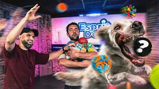 Miniature : On a acheté toutes les balles pour chien qui existent ! La meilleure c’est…
