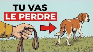 Miniature : La Bonne Façon d’Éduquer Votre Chien Sans Laisse (La Plupart des Propriétaires Se Trompent)
