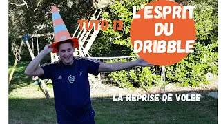 Miniature : Tuto 13: La Reprise de Volée