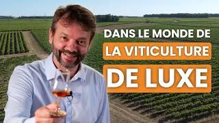 Miniature : Cognac : voyage au coeur de la viticulture de luxe - ITW de Pierre Vaudon (François Voyer)