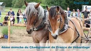 Miniature : Film de la 4ème manche du Championnat de France de débardage 2024