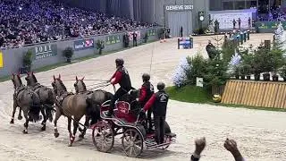 Miniature : CHI - 60e Concours Hippique International de Genève avec Jérôme Voutaz