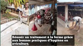 Miniature :  Réussir un traitement à la ferme grâce aux bonnes pratiques d’hygiène  Coach Samassi Décortique