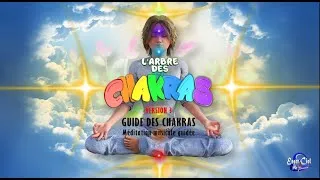 Miniature : Méditation l'arbre des 8 chakras 2025 Version 3.1 -  LE GUIDE DES CHAKRAS