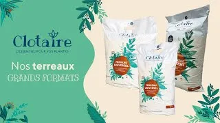 Miniature : Clotaire - Nos terreaux grands formats