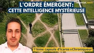 Miniature : Icaros: L'ordre émergent, cette intelligence mystérieuse