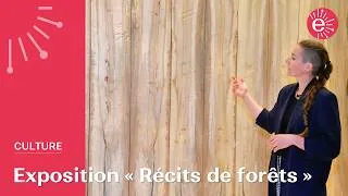 Miniature : Vous ne verrez plus les forêts de la même façon. Exposition Lélia Demoisy à Chamarande.