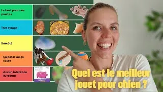 Miniature : TIER LIST JOUETS POUR CHIEN (par un éducateur canin)