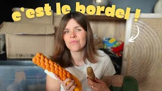 Miniature : Je trie les affaires de mon chien !