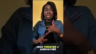 Miniature : Agriculture durable : opportunité et conservateur de l'environnement 📑✍️ Bilanga na biso Service 