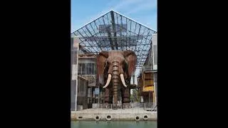 Miniature : Génies de la Construction 2026 : Projet - Embrasser le lin