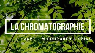 Miniature : [eSVT] La chromatographie et les pigments photosynthétiques