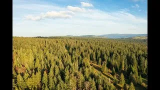 Miniature : Du bois neuchâtelois dans les constructions locales ? Un choix naturel !