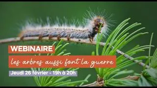 Miniature : WEBINAIRE : Les arbres aussi font la guerre