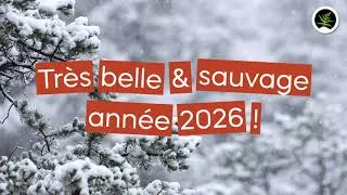 Miniature : Meilleurs voeux 2026 !