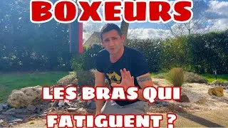 Miniature : Entraînement pour l'endurance musculaire des boxeurs: Techniques éprouvées pour dominer le ring!