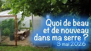 Miniature : Quoi de beau et de nouveau dans ma serre au 3 mai 2026 ?