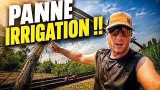 Miniature : IRRIGATION EN PANNE !!