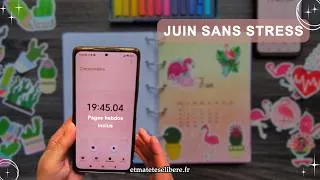 Miniature : Bullet journal plan with me 🌵🦩Juin 2026