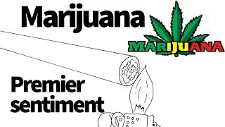 Miniature : Premier sentiment en consommant du cannabis : à quoi s'attendre 🌿 #EffetsCannabis