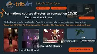 Miniature : e-tribArt  Formations courtes - Conception de visuels 2D/3D avec les techniques innovantes
