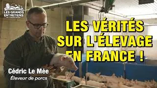 Miniature : Cédric Le Mée, éleveur de porcs: "Nous ne sommes pas des pollueurs!"