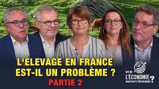 Miniature : L'Elevage en France est-il un problème? (partie 2)