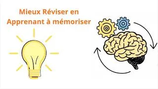 Miniature : Tu révises MAL : les techniques de mémorisation qui marchent vraiment