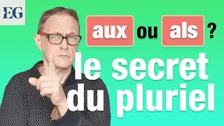 Miniature : Pourquoi "chevaux" mais "carnavals" ? L’étonnante règle du pluriel en français