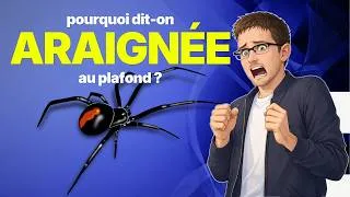 Miniature : "Araignée au plafond" ne veut pas dire ce que tu crois