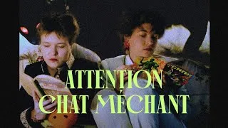 Miniature : ATTENTION CHAT MÉCHANT 🐈‍⬛  | Mini Film avec ma soeur jumelle 👧