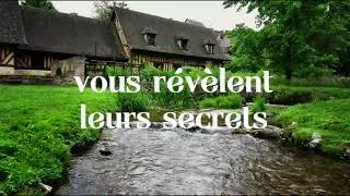 Miniature : Rendez-vous aux jardins 2026