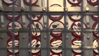 Miniature : Häagen-Dazs Arras - Tilloy-les-Mofflaines
