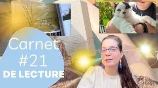 Miniature : Carnet de lecture #21 • "sous le soleil"