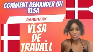 Miniature : Visa de travail Danemark 🇩🇰 2025! Visa rapide 