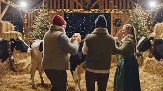 Miniature : #Noel #vache #nature #ferme #pourtoi #shorts