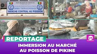 Miniature : IMMERSION AU MARCHÉ AU POISSON DE PIKINE: LA BRAVOURE DES FEMMES & LES MÉTIERS CACHÉS DE LA PECHE
