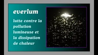 Miniature : Les lampadaires pollueurs ne sont pas les amis du vivant...