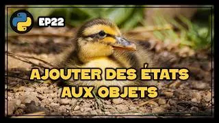 Miniature : Attributs | Python - EP22
