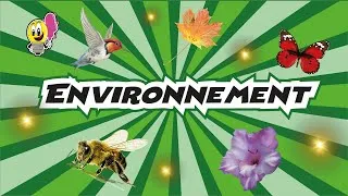 Miniature : Environnement