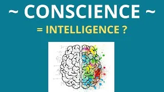 Miniature : Quelle différence entre conscience et intelligence ?