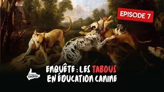 Miniature : ÉPISODE 7 - Le grand chassé-croisé des éducateurs canins (et ce qu'on en fait maintenant)