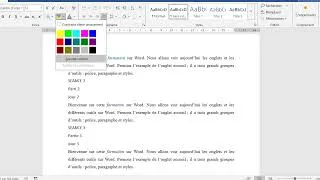 Miniature : Formation sur Word; comment mettre la couleur de surlignage sur un mot sur Word